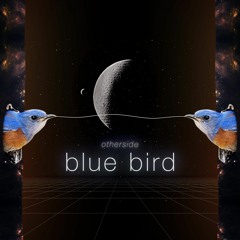 Otherside - Blue Bird [melodic new]