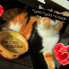 MEOWMEOW - nyaa nyaa noaaa!~