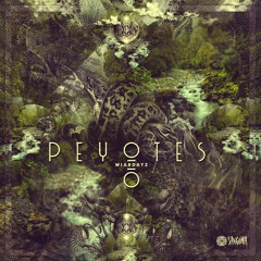 Peyotes - Wiardayz EP teaser (Sangoma Records)