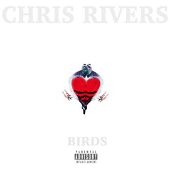 Birds -Chris Rivers
