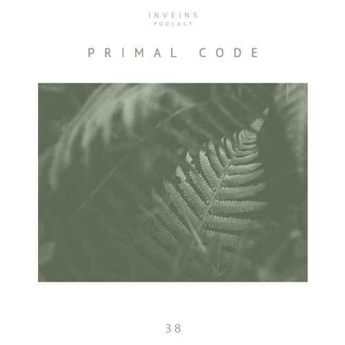 INVEINS \ Podcast 038 \ Primal Code