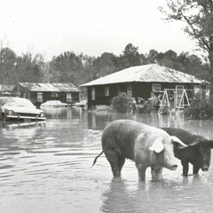 Recollections - Flood of 1983 - Port Vincent, LA
