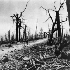 The Engineering of Destruction DES CRIMES PRESQUE PARFAITS SAISON 7