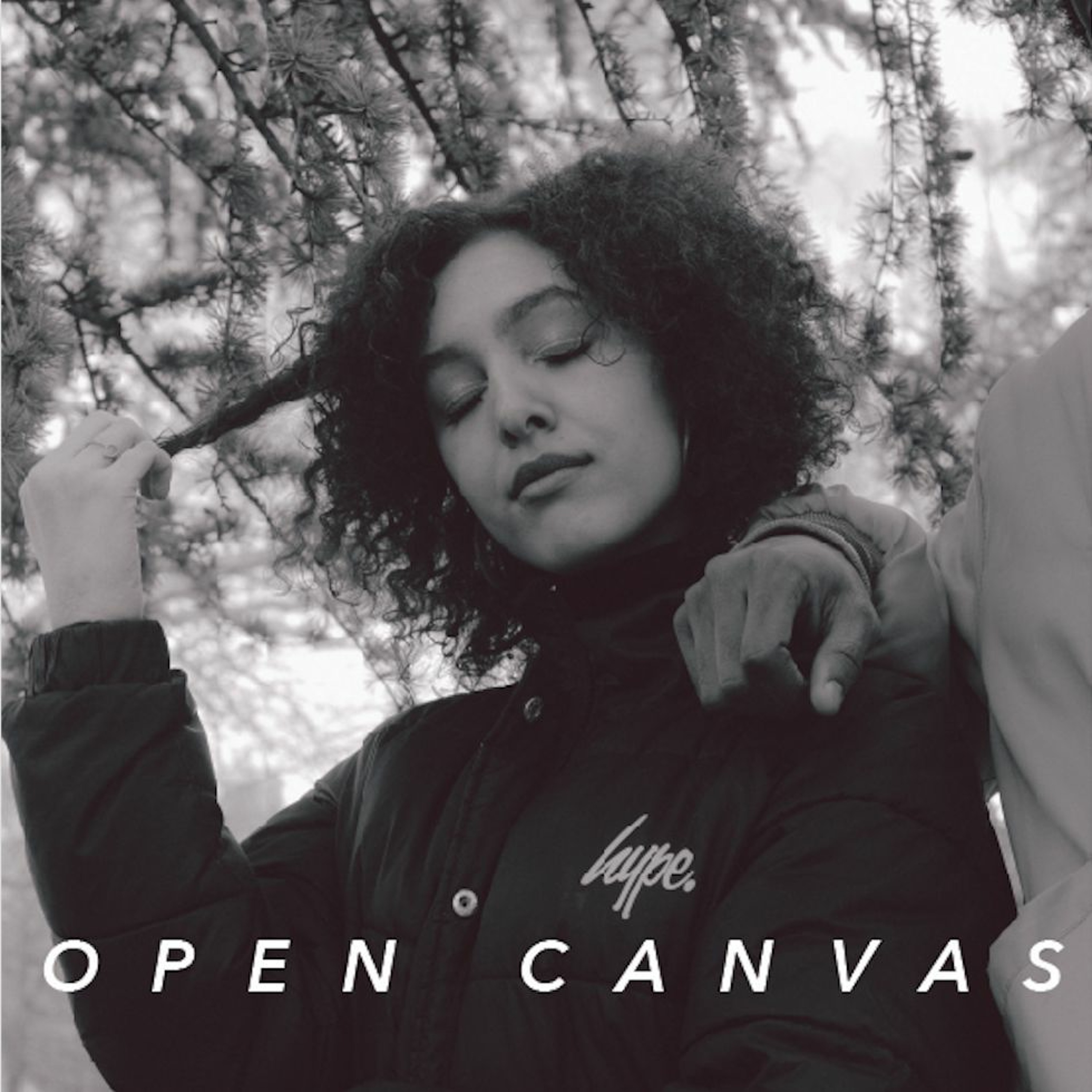 OPEN CANVAS