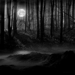 Dark Travel