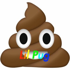 Take A Shit - Lil Pug