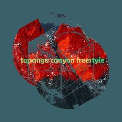 Topanga Canyon Freeestyle (Prod. By Lavvagirl)