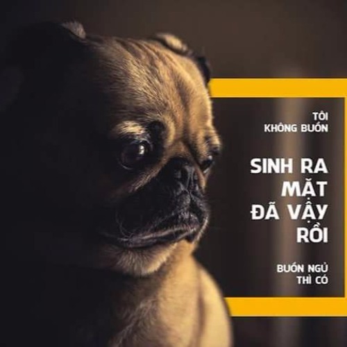 Khi Cô Đơn Em Nhớ Ai - Bùi Anh Tuấn