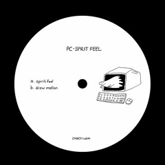 PC - spirit feel