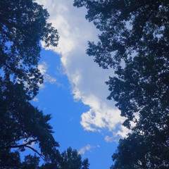 Everytime (boy pablo cover)