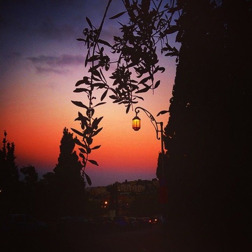Bedikat Chametz - The Light of the Night- Rabbi Shlomo Katz