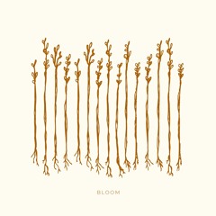 Ballad Of A Frightened Heart - Daje Morris