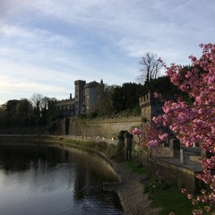 Home Again, Market Is Done