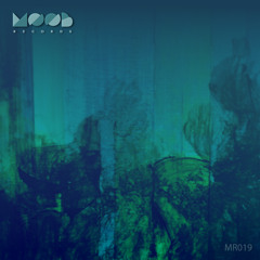 Dieru, Moett C. - Jupiter (Malini Remix)