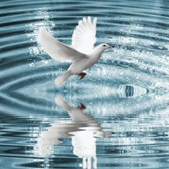 Toujours X iiancey X Døpe Boii