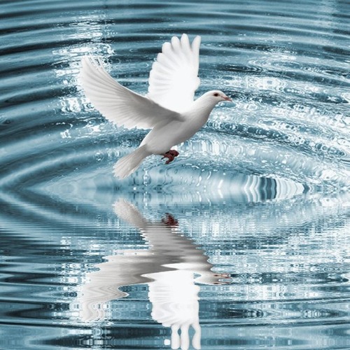 Toujours X iiancey X Døpe Boii