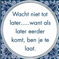 Rinus Flamingo & Brammetje - Later of zo