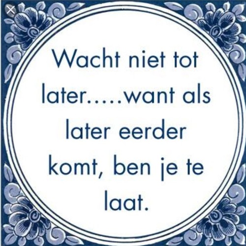 Rinus Flamingo & Brammetje - Later of zo