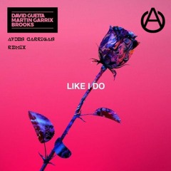 David Guetta, Martin Garrix & Brooks - Like I Do (Ayden Carrigan Remix)
