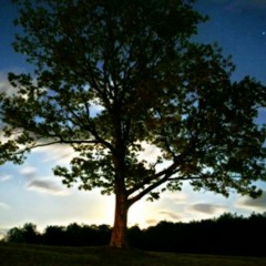 lil peep type beat - ashes [prod. RO/\E]