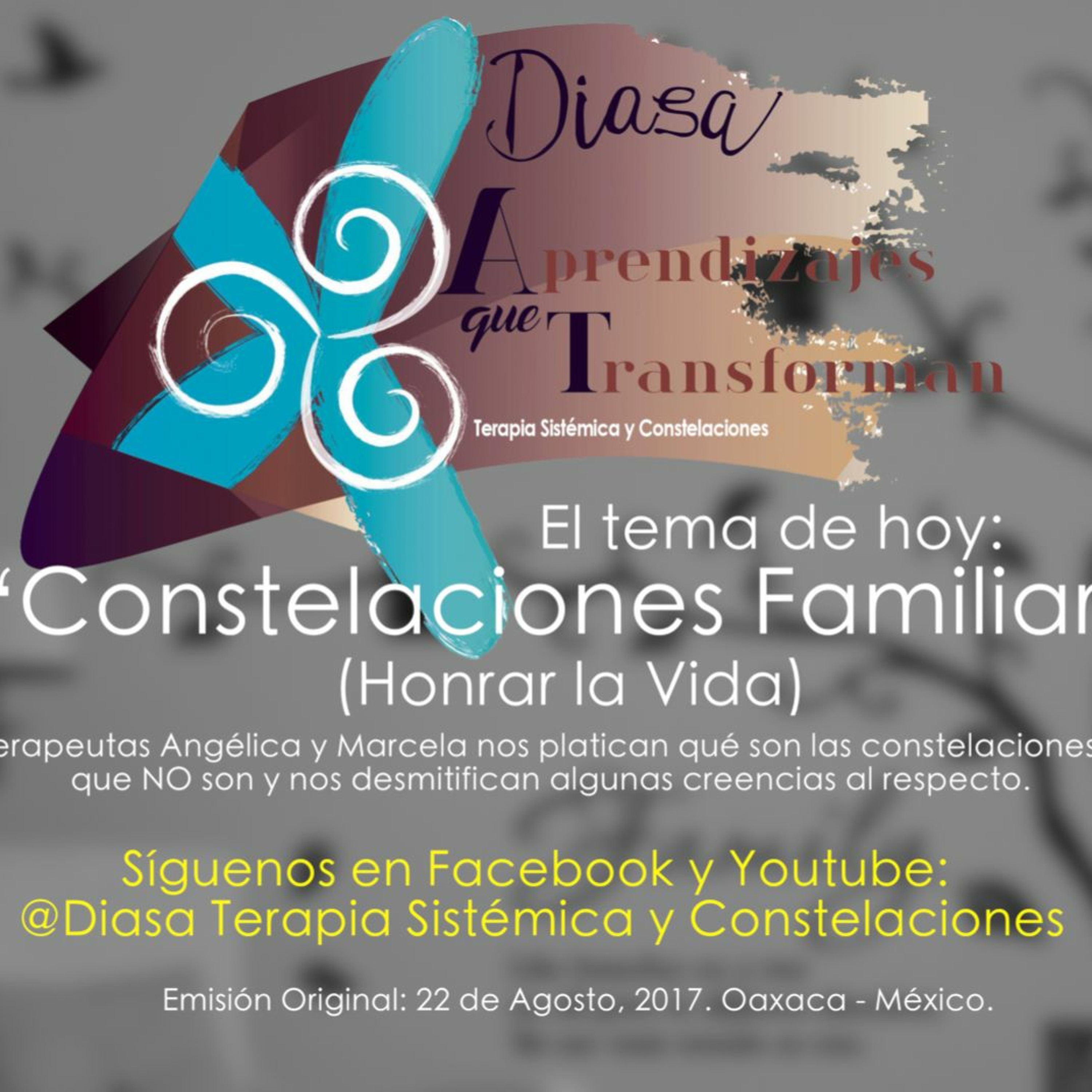 Diasa 02 "Constelaciones Familiares" - Honrar la Vida - 22 Agosto 2017 episode artwork