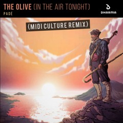 Padé - The Olive (Midi Culture Remix) (Radio Edit)