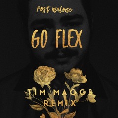 Go Flex (Tim Maggs Remix)