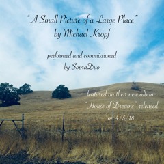 A Small Picture of a Large Place by Michael Kropf