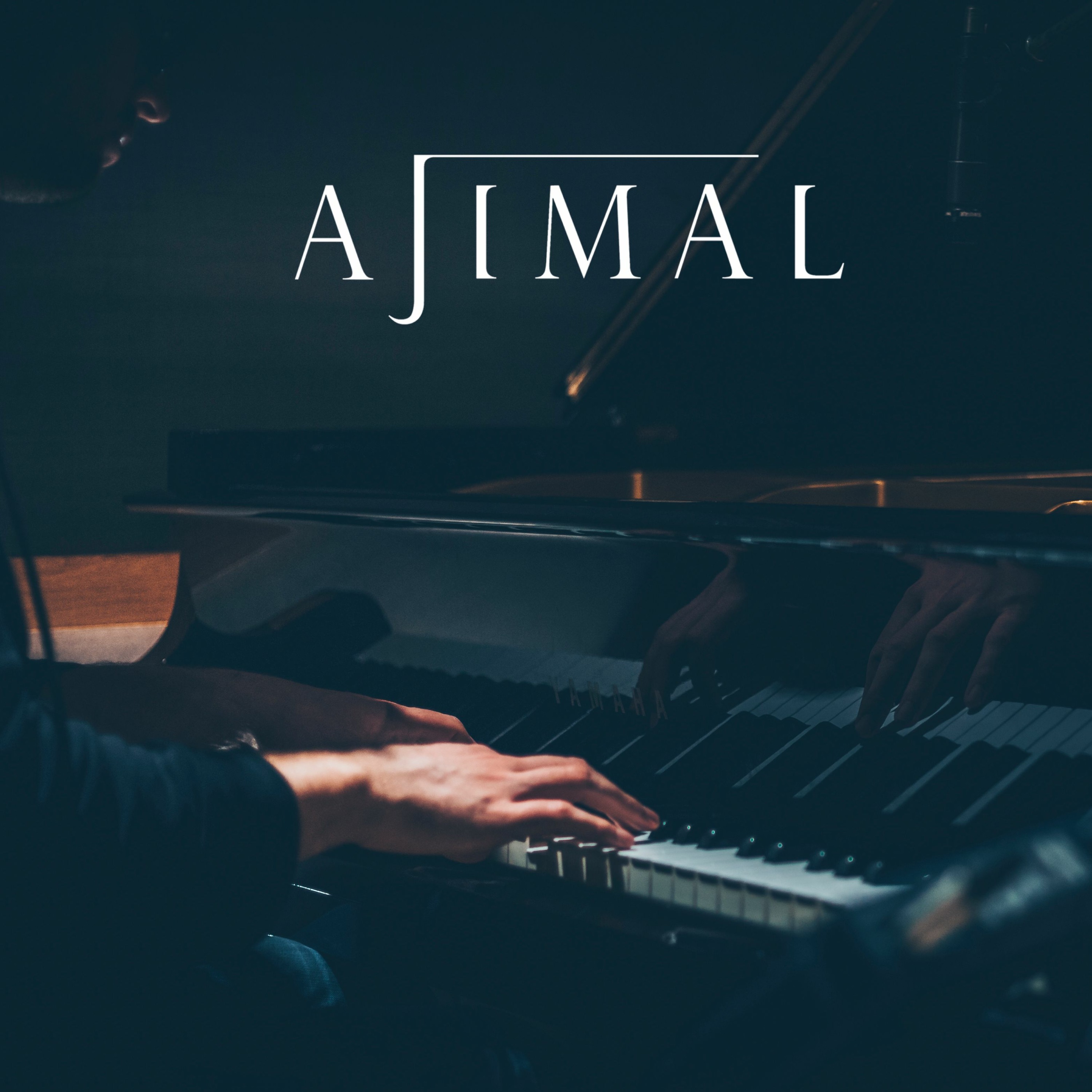 hope for the best (Piano Day 2018)
