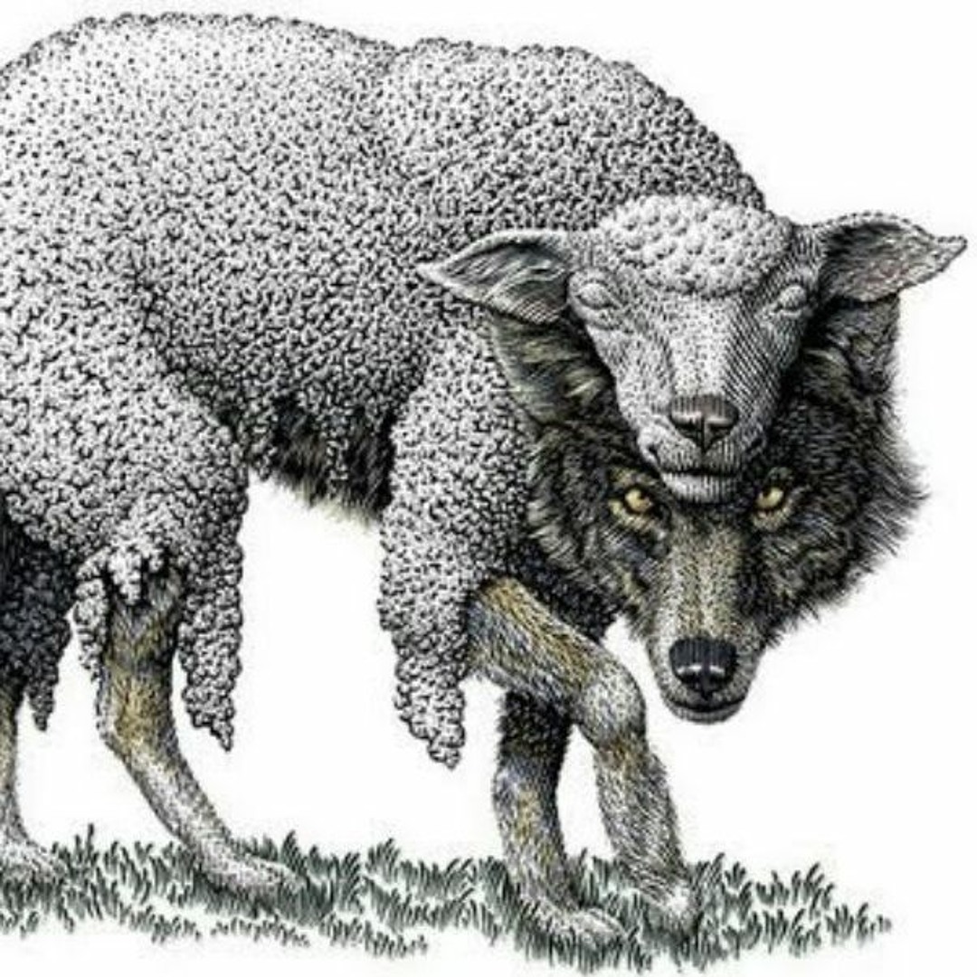 美麗／BLACK SHEEP・Wolf In Sheep's Clothing Black Sheep - A Wolf In Sheep's Clothing - Amazon.com Music