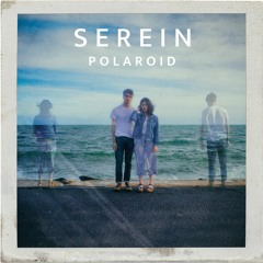Polaroid