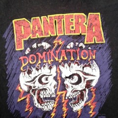 PANTERA - Domination(INSTRUMENTAL COVER)