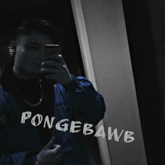 VIDEO 1 - Pongebawb