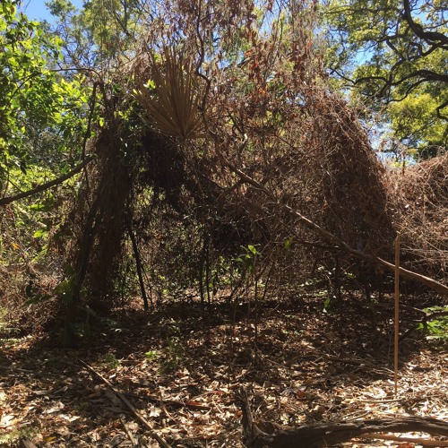 Blinking in the Dark