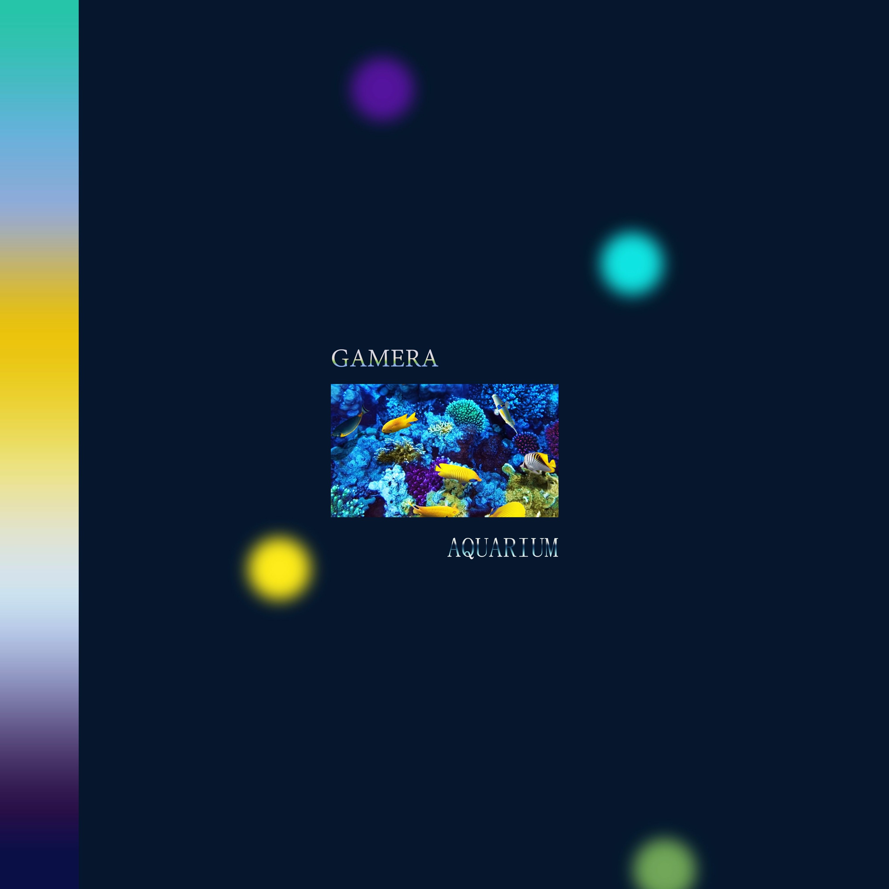 GAMERA aka GMRA