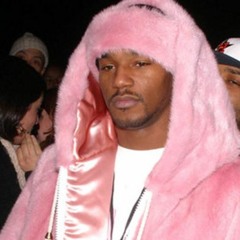 Cam'Ron -Stan