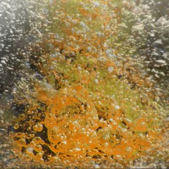 evanescent : effervescent