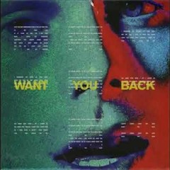 5 Seconds Of Summer - Want You Back