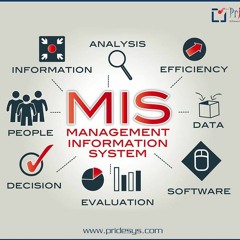 Management Information System Software | Pridesys IT Ltd