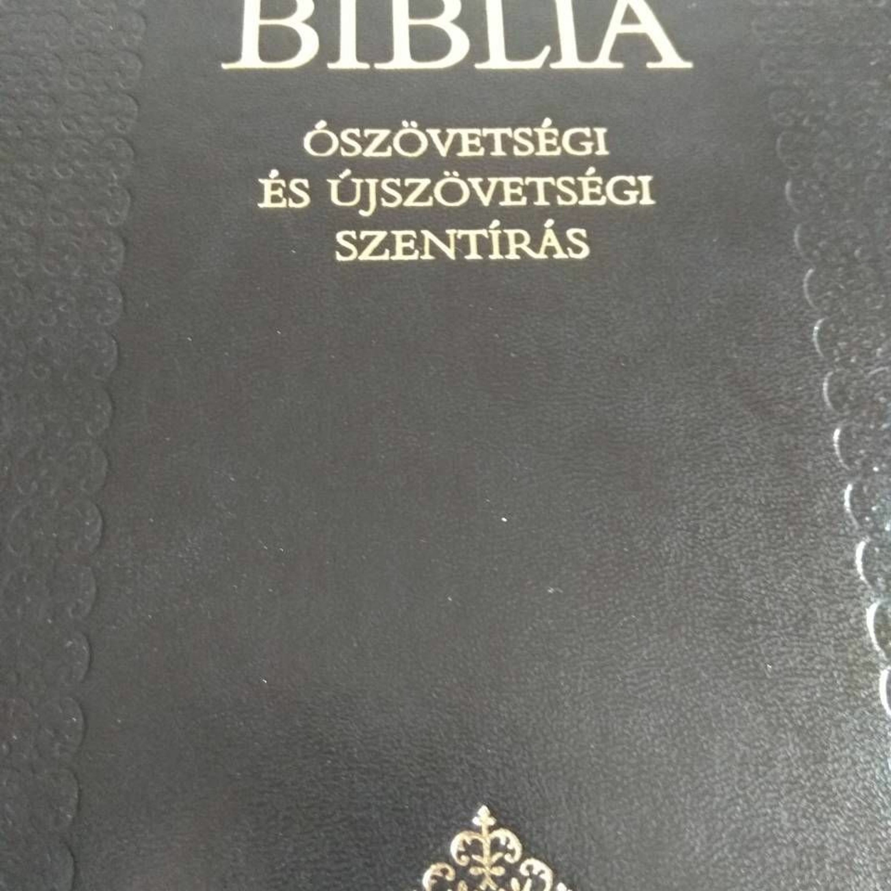 Társkeresés