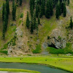 Pashto Latest Song Gul Panra Song 2018 rasha khumara