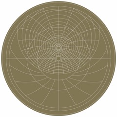 A1. Neel & natural/electronic.system. - Mira