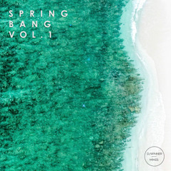 SPRING BANG VOL. 1