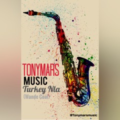 Tony Mars, Turkey Nla, (Wande Coal)