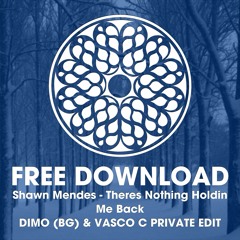 Shawn Mendes - Theres Nothing Holdin Me Back ( DiMO BG & Vasco C Private Edit )FREE DWONLOAD