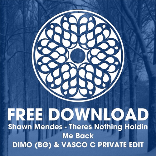 Shawn Mendes - Theres Nothing Holdin Me Back ( DiMO BG & Vasco C Private Edit )FREE DWONLOAD