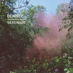 Premiere Denney 'Serenade' (Bushwacka remix)