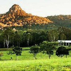 One Day I Will Go To Oz To See You