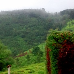 Leaving On A Jet Plane (Cover) John Denver