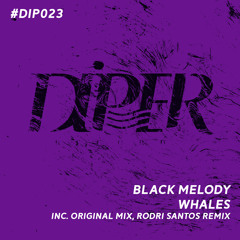 Black Melody - Whales (Original Mix)